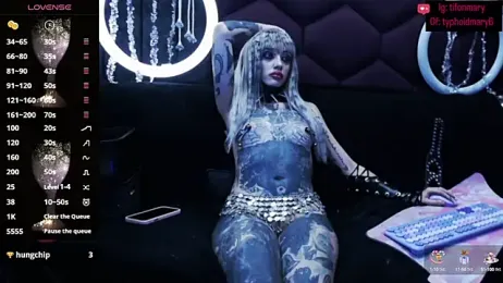 TyphoidMary stripchat stream image