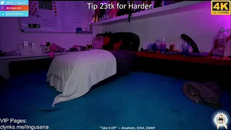 Ana_Lingus stripchat stream image