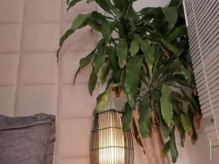 zhuyhong camsoda stream image