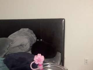 t1ger camsoda stream image