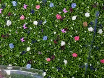 babyaylin chaturbate stream image