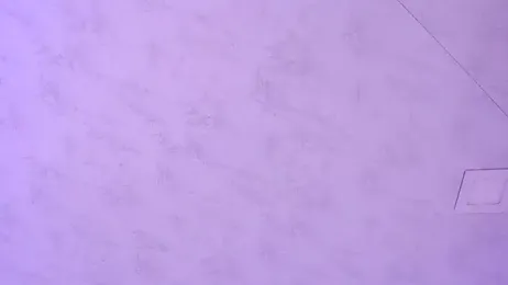 Dear-Venus stripchat stream image