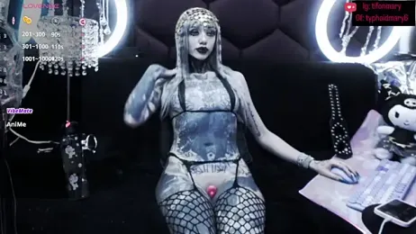 TyphoidMary stripchat stream image