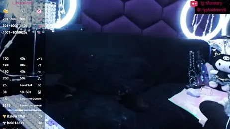 TyphoidMary stripchat stream image