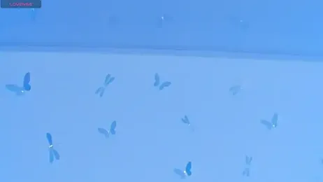 conny__curly stripchat stream image