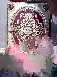 dandilaa stripchat stream image