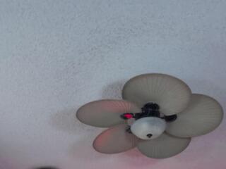 Katharine Cane flirt4free stream image