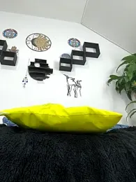 jamilaross stripchat stream image