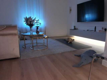 seilyfox bongacams stream image