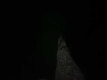 Chikipikin bongacams stream image