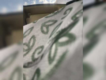 SallyeLeins bongacams stream image