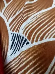 Janhvi- stripchat stream image