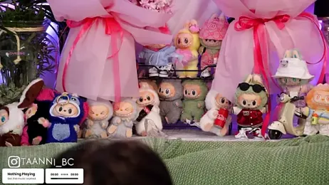 taanni_bc stripchat stream image