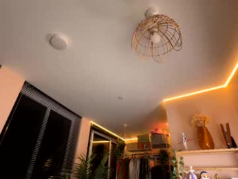 vixenp chaturbate stream image