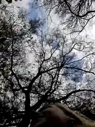 Public_Katrisha stripchat stream image