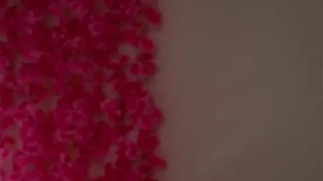 KarinBates stripchat stream image