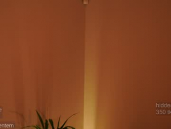 ms_seductive chaturbate stream image