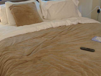 Amex369 bongacams stream image