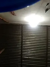 Andreita_95 stripchat stream image