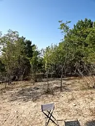 -Pupsiki- stripchat stream image