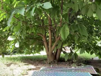 patry333 chaturbate stream image