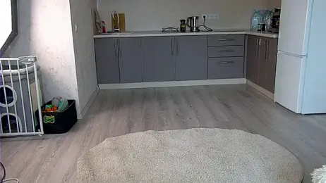 AshleyD_ stripchat stream image