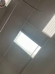 Bigbuttbrooklynn stripchat stream image