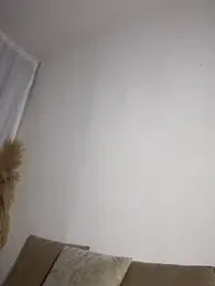 Sofia_Collins- stripchat stream image