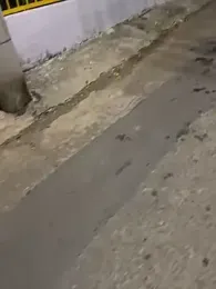 the_queen_of_street stripchat stream image