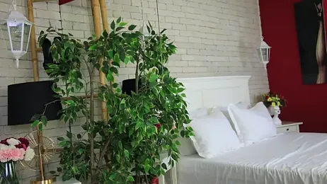 EmillyBronte stripchat stream image