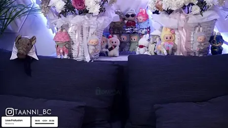 taanni_bc stripchat stream image