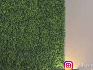 chloedee camsoda stream image