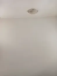 Virgin_Pussy_Love stripchat stream image