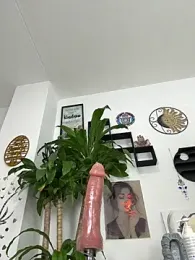 jamilaross stripchat stream image