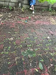 Miss__Malaika stripchat stream image