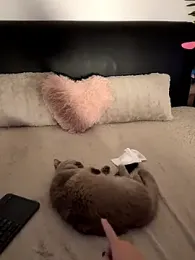 Andrestarr stripchat stream image