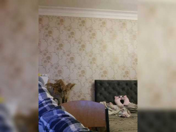 Love_Crew bongacams stream image