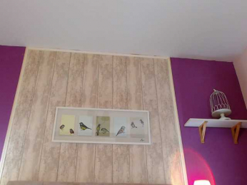 XKimoraX bongacams stream image