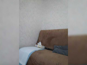 Flammeee bongacams stream image