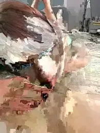 Wild_Wonders stripchat stream image