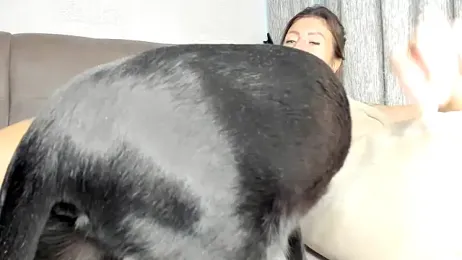 Avtosluts777 stripchat stream image