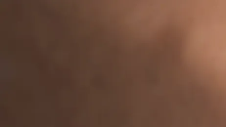 conny__curly stripchat stream image