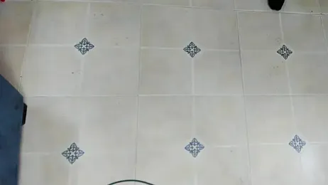 playsgirlhot stripchat stream image