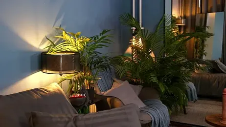 _keeti_ stripchat stream image