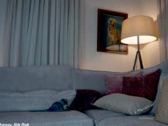 x_lily_x chaturbate stream image