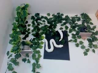 nataliepeterson camsoda stream image