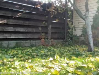 patry333 chaturbate stream image