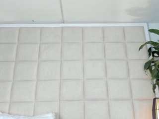 zhuyhong camsoda stream image