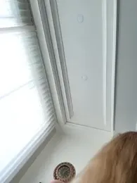 Nura_n_Sarah stripchat stream image