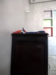 Dalou3a-69 stripchat stream image